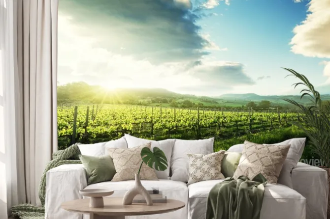 Naklejka: Winnica w toskanii we włoszech