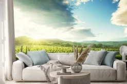 Naklejka: Winnica w toskanii we włoszech