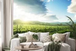 Naklejka: Winnica w toskanii we włoszech