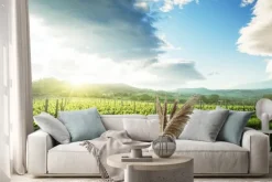 Naklejka: Winnica w toskanii we włoszech