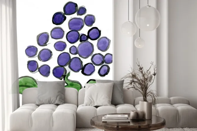 Naklejka: Winogrona na białym tle