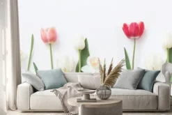 Naklejka: Wiosenne kwiaty na białym tle