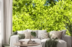 Naklejka: Wiosenne liście