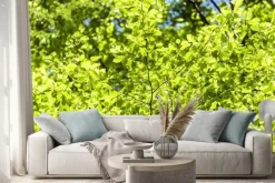 Naklejka: Wiosenne liście