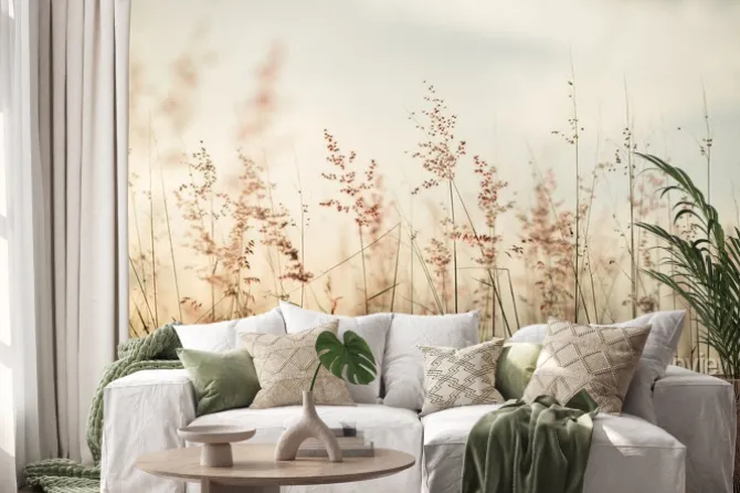 Naklejka: Wschód słońca nad łąką i naturalnym pejzażem