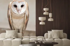 Naklejka: Wspólne barn owl (tyto albahead)