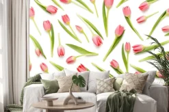 Naklejka: Wzór różowy tulipan na białym bacjkground.