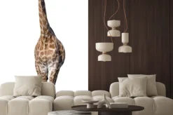 Naklejka: Żyrafa samodzielnie na białym tle