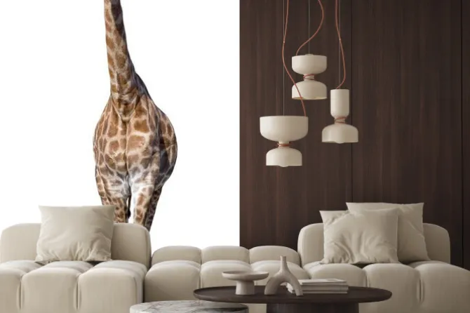 Naklejka: Żyrafa samodzielnie na białym tle