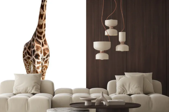 Naklejka: Żyrafa samodzielnie na białym tle