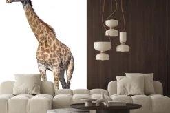 Naklejka: Żyrafa samodzielnie na białym tle