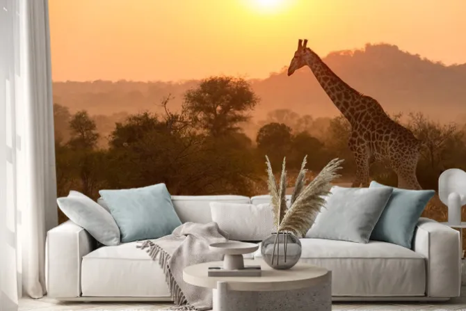 Naklejka: Żyrafa w parku narodowym krugera sunrise