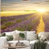 Naklejka: Zachód słońca nad polami lawendy i pszenicy