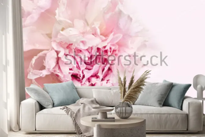 Naklejka: Zbliżenie na jasnoróżową piwonię na pastelowym tle