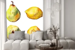 Naklejka: Zestaw akwareli cytrusy cytryna gruszka pojedyncze owoce