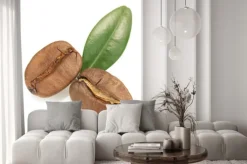 Naklejka: Ziaren kawy samodzielnie na białym tle