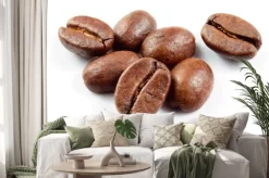 Naklejka: Ziarna kawy izolowane