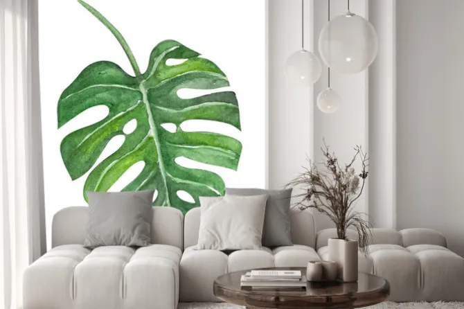 Naklejka: Zielona monstera liścia akwareli tropikalna ilustracja, odizolowywająca