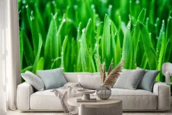 Naklejka: Zielona trawa