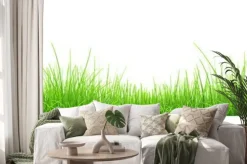 Naklejka: Zielona trawa