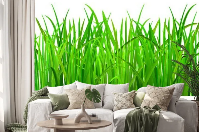 Naklejka: Zielona trawa