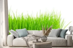 Naklejka: Zielone źdźbła trawy