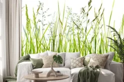 Naklejka: Zielone źdźbła trawy