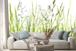 Naklejka: Zielone źdźbła trawy