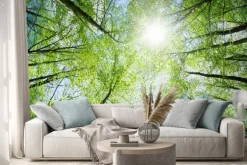 Naklejka: Zielone drzewa