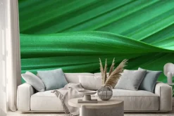 Naklejka: Zielone liście z bliska