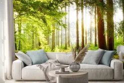 Naklejka: Zielony las oświetlony wiosennym słońcem