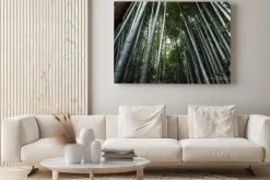 Obraz: 竹林