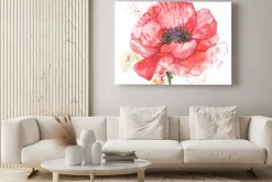 Obraz: Красный цветок, мак, иллюстрация акварелью