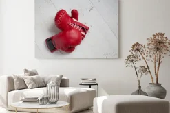 Obraz: ボ ク シ ン グ グ ロ ー ブ