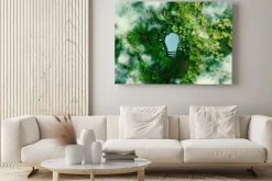 Obraz: A bulb-shaped lake in the middle of a lush forest, symbolizing