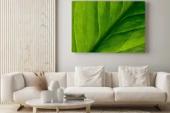 Obraz: Abstract green striped nature background, vintage tone. green