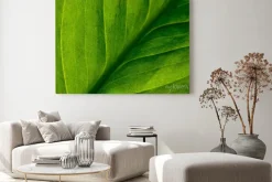 Obraz: Abstract green striped nature background, vintage tone. green