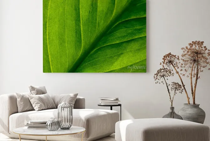 Obraz: Abstract green striped nature background, vintage tone. green