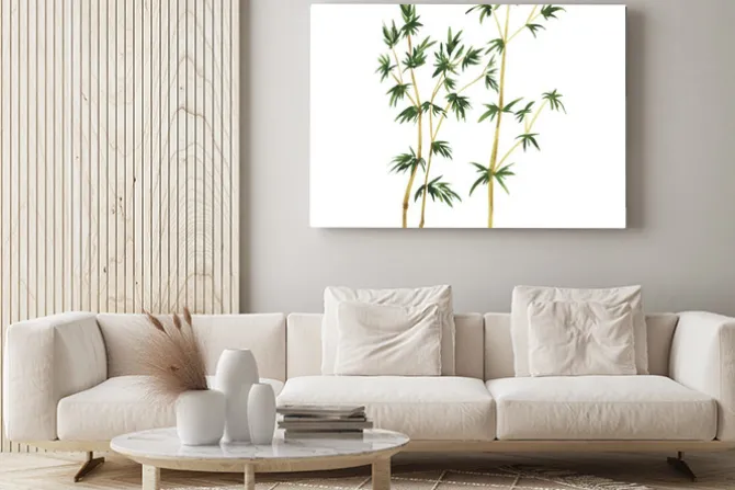 Obraz: Abstrakcyjna dzikiego bambusa drzew na białym tle. ręcznie rysowane
