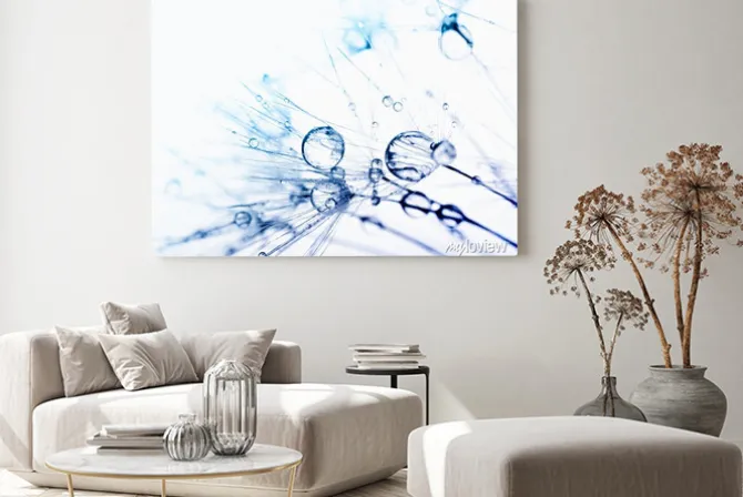 Obraz: Abstrakcyjna makro fotografii nasion roślin z wody spada.