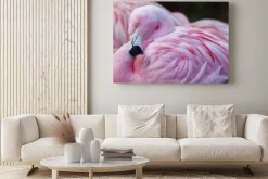 Obraz: Ładnie w różowym