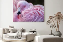 Obraz: Ładnie w różowym