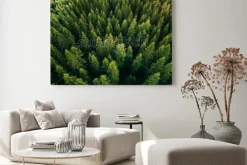 Obraz: Aerial top view of summer green trees in forest in rural finland.