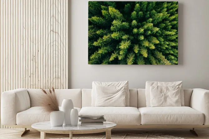 Obraz: Aerial top view of summer green trees in forest in rural finland.