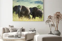 Obraz: Afrykańskie słonie na afrykańskiej sawannie