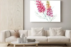 Obraz: Akwarela australijski grevillea kwiat