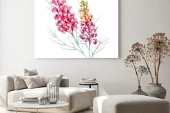 Obraz: Akwarela australijski grevillea kwiat