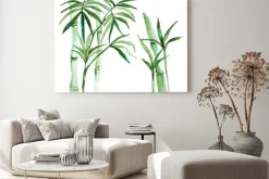 Obraz: Akwarela bambusa ilustracji