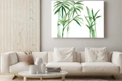 Obraz: Akwarela bambusa ilustracji