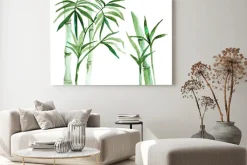 Obraz: Akwarela bambusa ilustracji